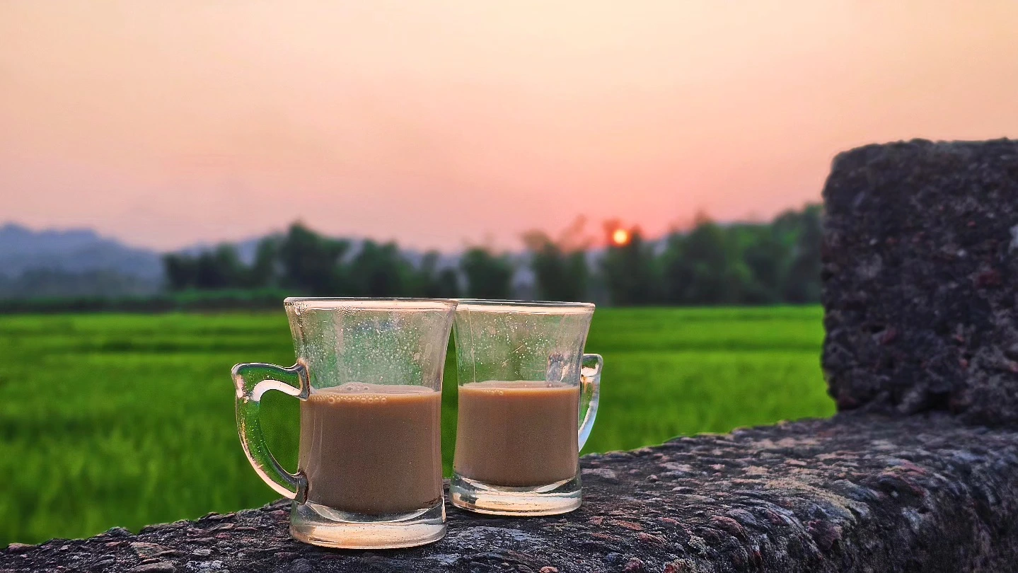 Two cups of cha at sunset over rice fields